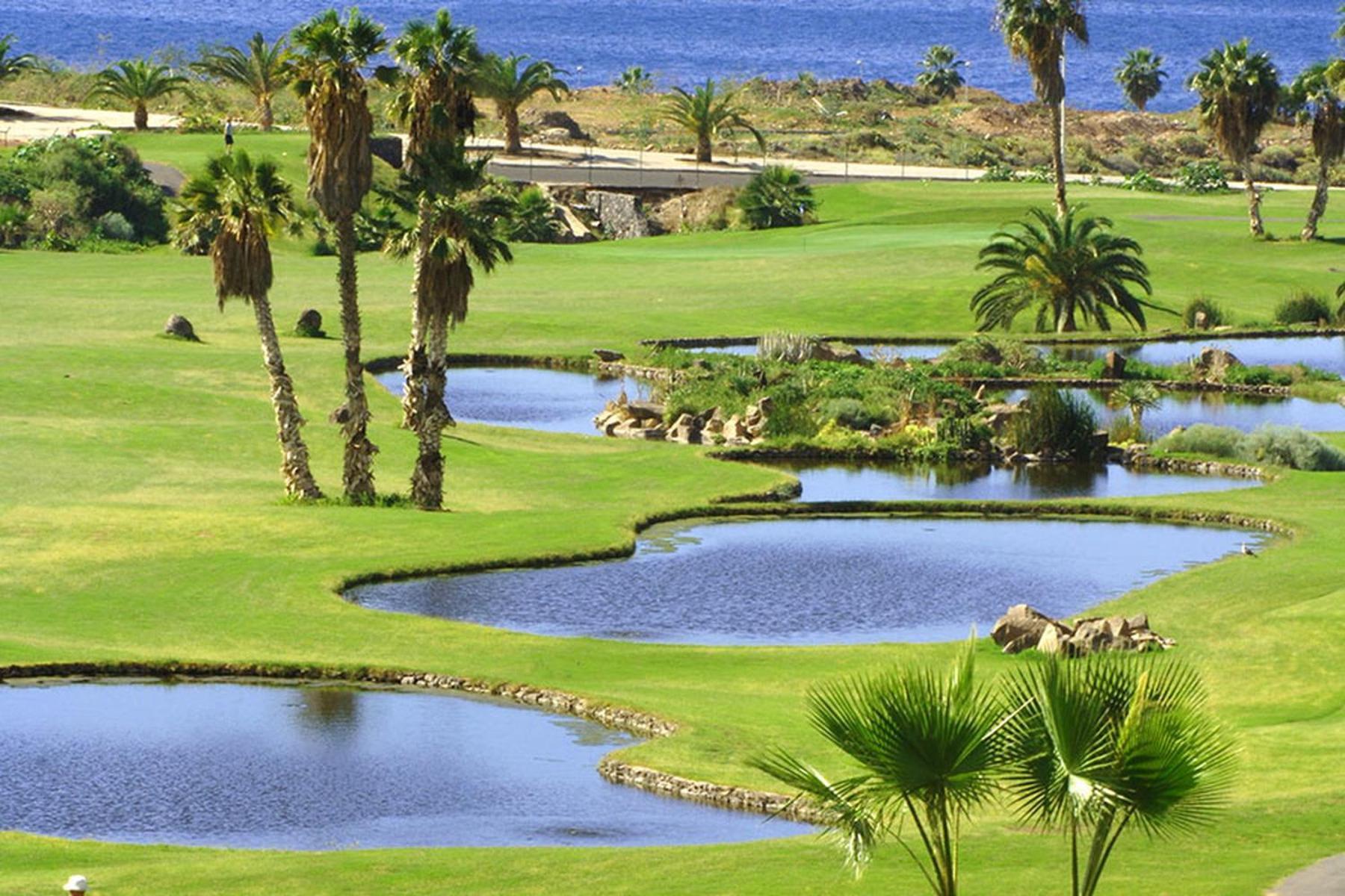 Tenerife Luxury Apartment Costa Adeje Exteriör bild